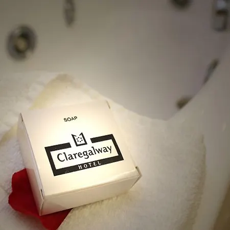 酒店 克莱尔戈尔韦酒店 4*